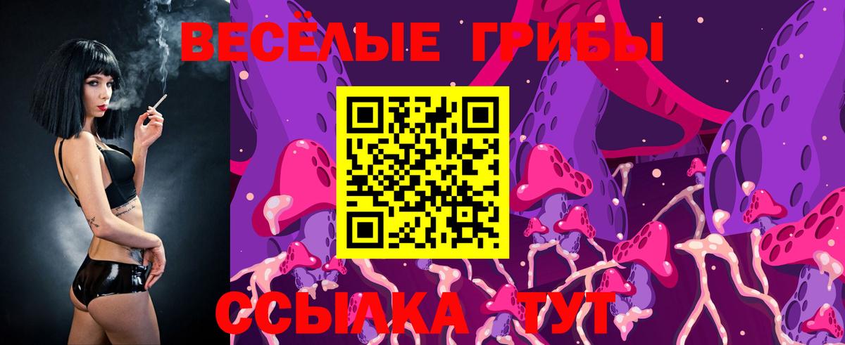 закладка  Псилоцибиновые грибы MAGIC MUSHROOMS  Вход с VPN  Городец 